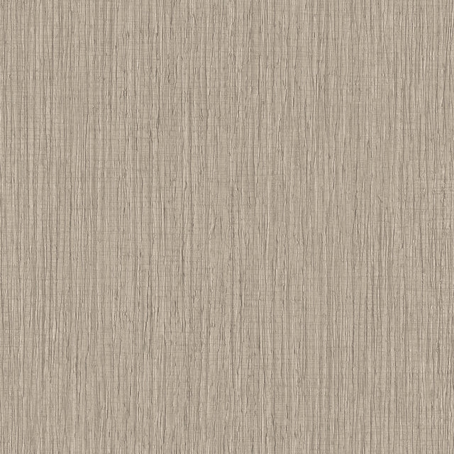 Veer Decor Sienna Strand Texture Warm Grey Wallpaper VRTN41-