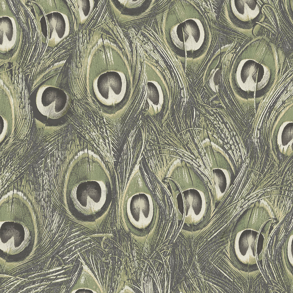 Patton / Norwall MH MH36519 Texture