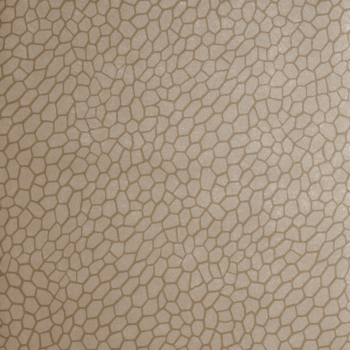 CLARKE AND CLARKE W0058/01.CAC.0 PLAYA ANTIQUE Wallpaper - Eade's Wallpaper
