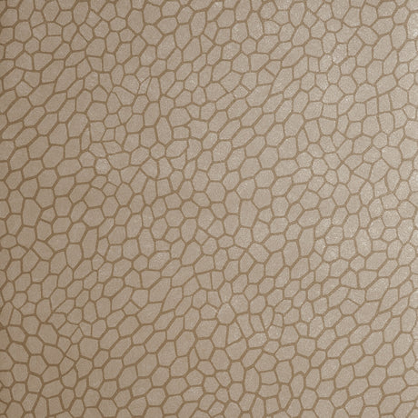 CLARKE AND CLARKE W0058/01.CAC.0 PLAYA ANTIQUE Wallpaper - Eade's Wallpaper