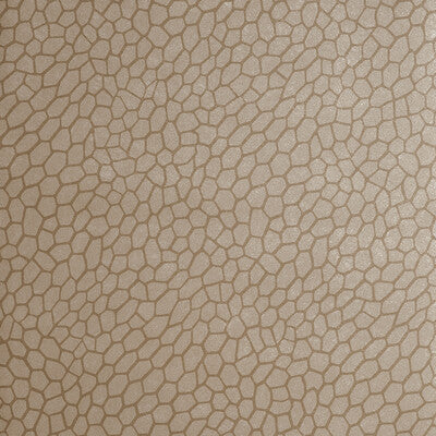 CLARKE AND CLARKE W0058/01.CAC.0 PLAYA ANTIQUE Wallpaper - Eade's Wallpaper