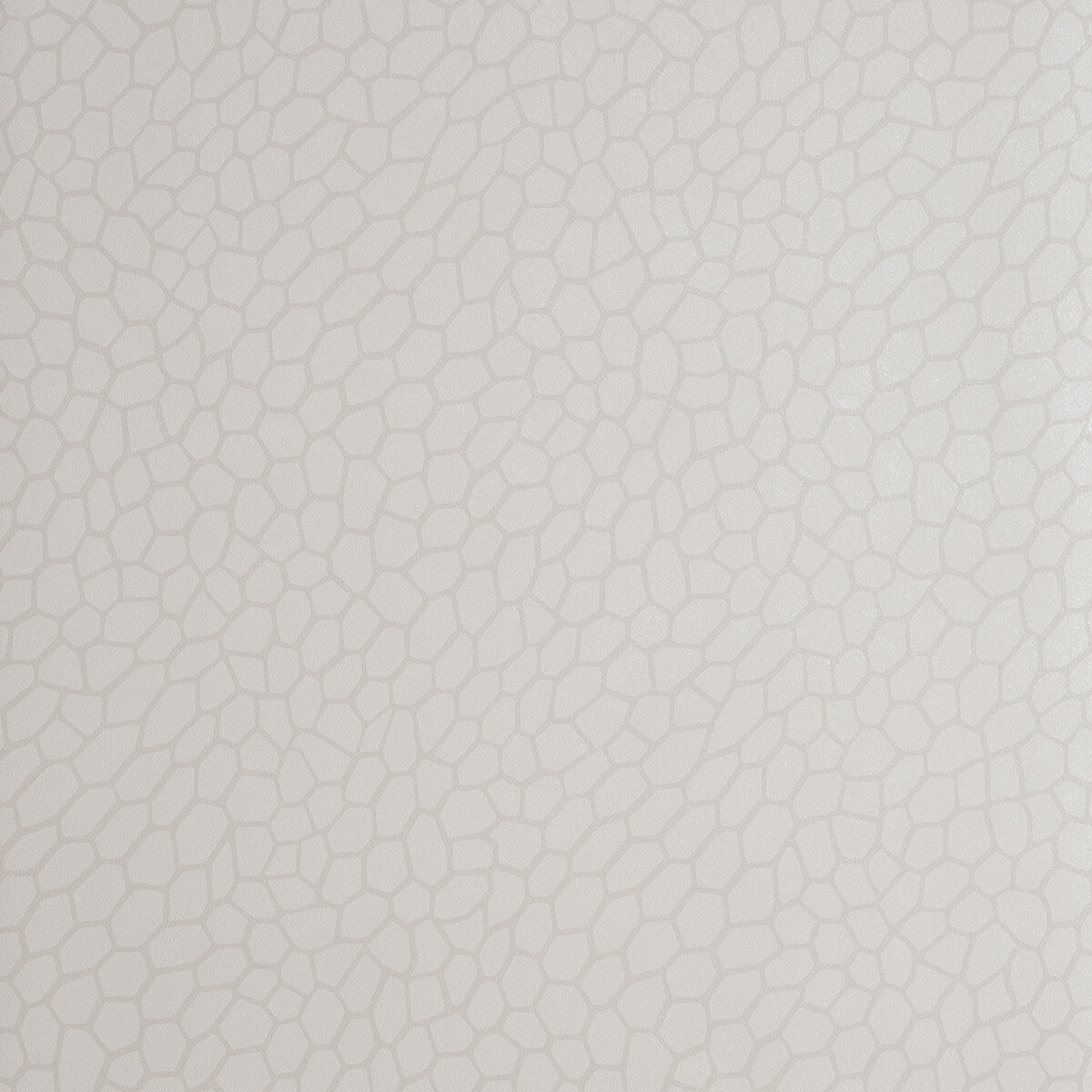 CLARKE AND CLARKE W0058/04.CAC.0 PLAYA PARCHMENT Wallpaper - Eade's Wallpaper