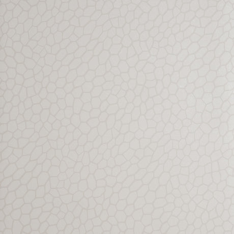 CLARKE AND CLARKE W0058/04.CAC.0 PLAYA PARCHMENT Wallpaper - Eade's Wallpaper