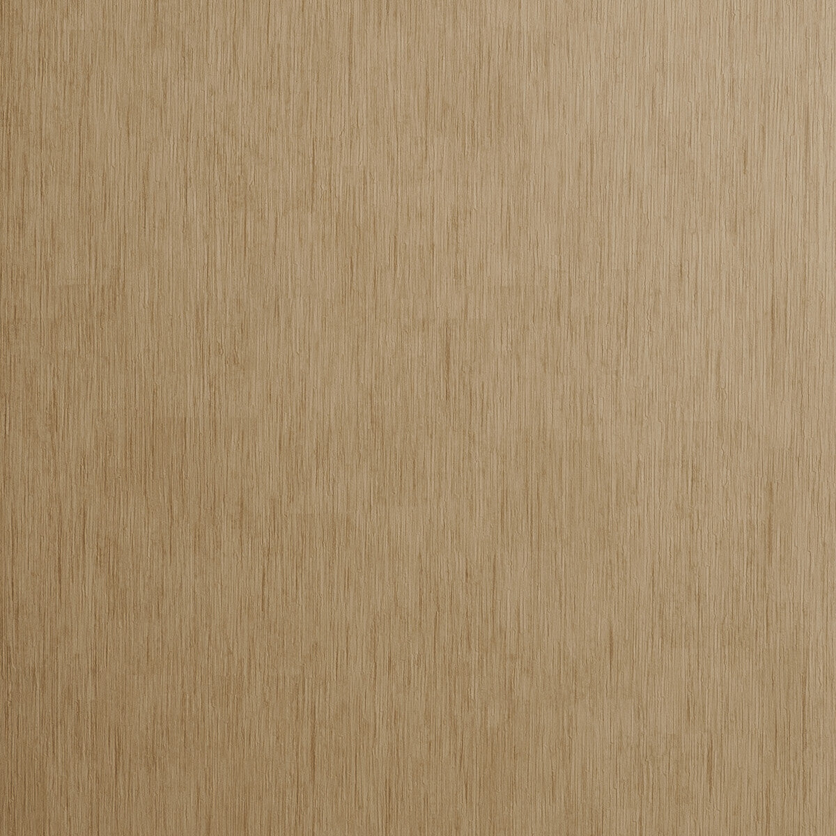 CLARKE AND CLARKE W0060/01.CAC.0 RAFI BAMBOO Wallpaper - Eade's Wallpaper