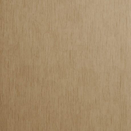CLARKE AND CLARKE W0060/01.CAC.0 RAFI BAMBOO Wallpaper - Eade's Wallpaper