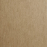CLARKE AND CLARKE W0060/01.CAC.0 RAFI BAMBOO Wallpaper - Eade's Wallpaper