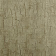CLARKE AND CLARKE W0062/01.CAC.0 TREE BARK ANTIQUE Wallpaper - Eade's Wallpaper