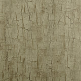 CLARKE AND CLARKE W0062/01.CAC.0 TREE BARK ANTIQUE Wallpaper - Eade's Wallpaper