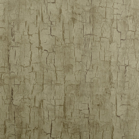 CLARKE AND CLARKE W0062/01.CAC.0 TREE BARK ANTIQUE Wallpaper - Eade's Wallpaper