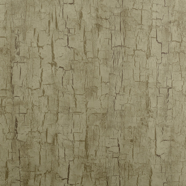 CLARKE AND CLARKE W0062/01.CAC.0 TREE BARK ANTIQUE Wallpaper - Eade's Wallpaper