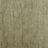 CLARKE AND CLARKE W0062/01.CAC.0 TREE BARK ANTIQUE Wallpaper - Eade's Wallpaper