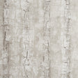 CLARKE AND CLARKE W0062/02.CAC.0 TREE BARK BIRCH Wallpaper - Eade's Wallpaper