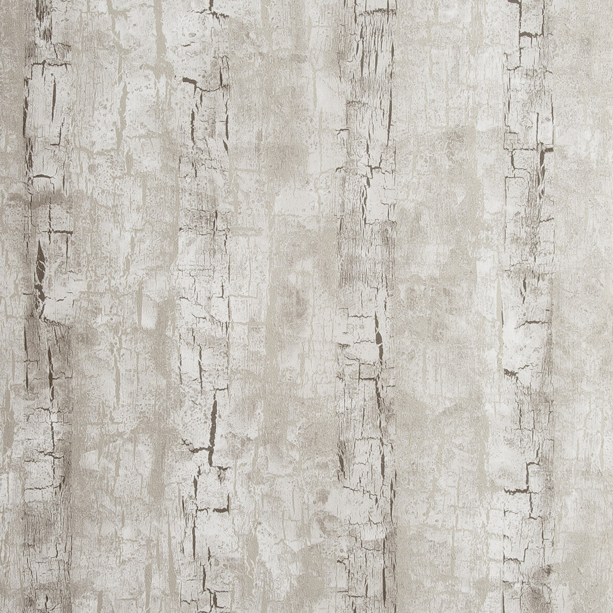 CLARKE AND CLARKE W0062/02.CAC.0 TREE BARK BIRCH Wallpaper - Eade's Wallpaper
