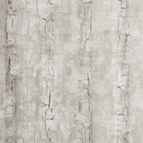 CLARKE AND CLARKE W0062/02.CAC.0 TREE BARK BIRCH Wallpaper - Eade's Wallpaper