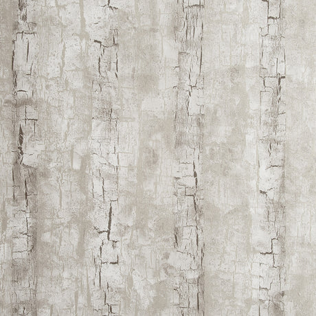 CLARKE AND CLARKE W0062/02.CAC.0 TREE BARK BIRCH Wallpaper - Eade's Wallpaper