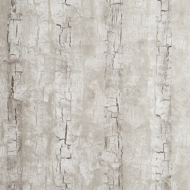 CLARKE AND CLARKE W0062/02.CAC.0 TREE BARK BIRCH Wallpaper - Eade's Wallpaper