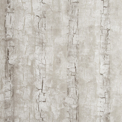 CLARKE AND CLARKE W0062/02.CAC.0 TREE BARK BIRCH Wallpaper - Eade's Wallpaper