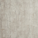 CLARKE AND CLARKE W0062/03.CAC.0 TREE BARK PARCHMENT Wallpaper - Eade's Wallpaper