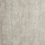 CLARKE AND CLARKE W0062/03.CAC.0 TREE BARK PARCHMENT Wallpaper - Eade's Wallpaper