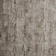 CLARKE AND CLARKE W0062/05.CAC.0 TREE BARK PEWTER Wallpaper - Eade's Wallpaper