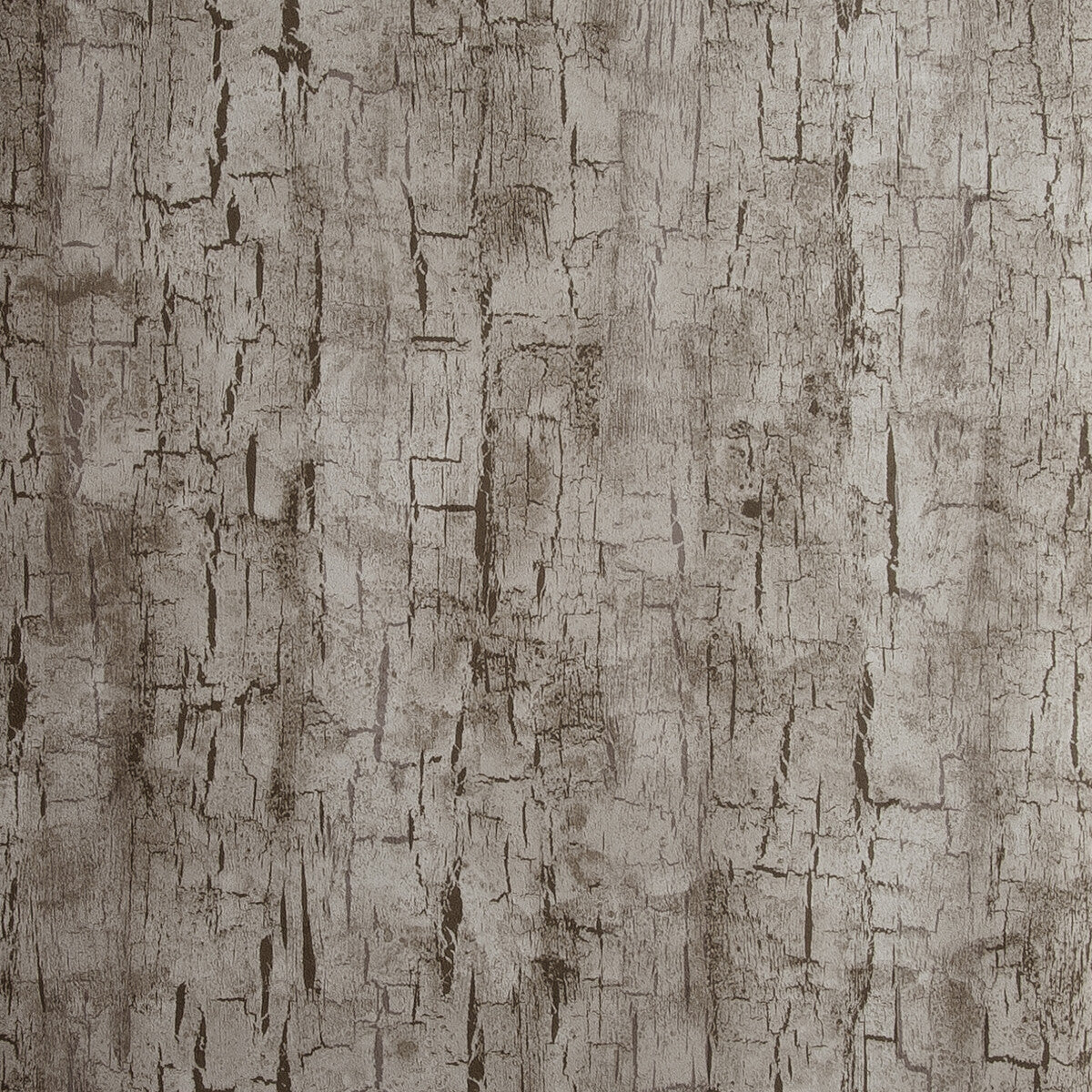 CLARKE AND CLARKE W0062/05.CAC.0 TREE BARK PEWTER Wallpaper - Eade's Wallpaper
