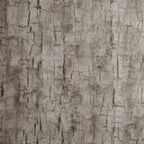 CLARKE AND CLARKE W0062/05.CAC.0 TREE BARK PEWTER Wallpaper - Eade's Wallpaper