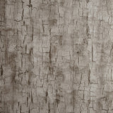 CLARKE AND CLARKE W0062/05.CAC.0 TREE BARK PEWTER Wallpaper - Eade's Wallpaper