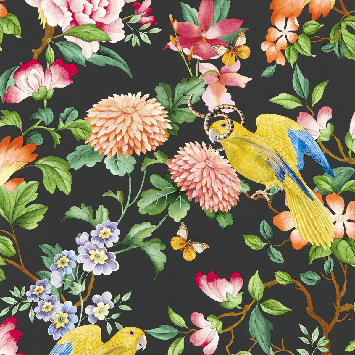 CLARKE AND CLARKE W0130/04.CAC.0 GOLDEN PARROT WP NOIR Wallpaper - Eade's Wallpaper