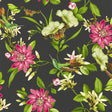 CLARKE AND CLARKE W0132/03.CAC.0 PINK LOTUS WP NOIR Wallpaper - Eade's Wallpaper
