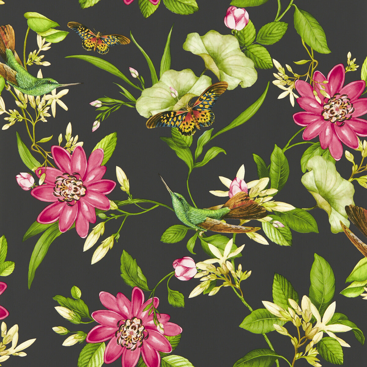 CLARKE AND CLARKE W0132/03.CAC.0 PINK LOTUS WP NOIR Wallpaper - Eade's Wallpaper