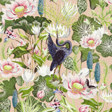 CLARKE AND CLARKE W0137/01.CAC.0 WATERLILY WP BLUSH Wallpaper - Eade's Wallpaper