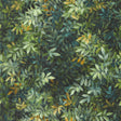 CLARKE AND CLARKE W0140/03.CAC.0 CONGO FOREST WP Wallpaper - Eade's Wallpaper