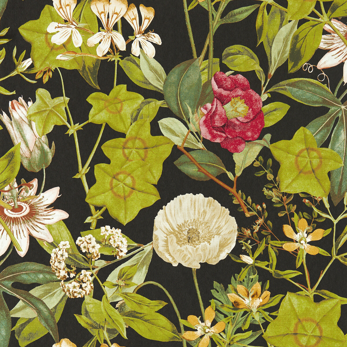 CLARKE AND CLARKE W0143/04.CAC.0 PASSIFLORA NOIR WP Wallpaper - Eade's Wallpaper
