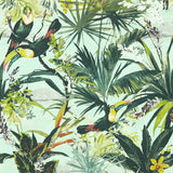 CLARKE AND CLARKE W0146/03.CAC.0 TOUCAN SKY WP Wallpaper - Eade's Wallpaper