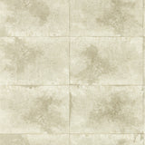 CLARKE AND CLARKE W0151/02.CAC.0 IGNEOUS CHAMPAGNE WP Wallpaper - Eade's Wallpaper