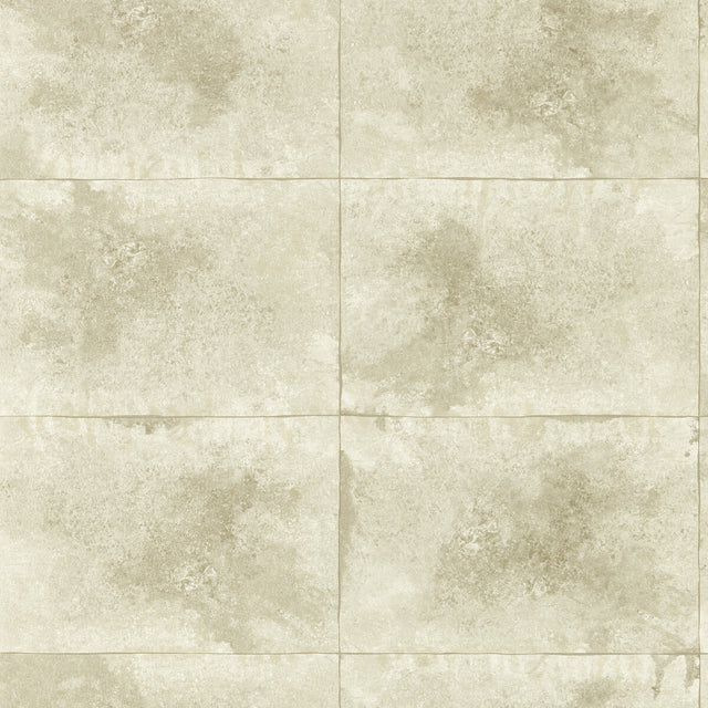 CLARKE AND CLARKE W0151/02.CAC.0 IGNEOUS CHAMPAGNE WP Wallpaper - Eade's Wallpaper
