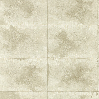CLARKE AND CLARKE W0151/02.CAC.0 IGNEOUS CHAMPAGNE WP Wallpaper - Eade's Wallpaper