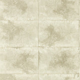 CLARKE AND CLARKE W0151/02.CAC.0 IGNEOUS CHAMPAGNE WP Wallpaper - Eade's Wallpaper