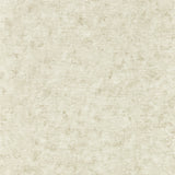 CLARKE AND CLARKE W0152/02.CAC.0 IMPRESSION NATURAL WP Wallpaper - Eade's Wallpaper