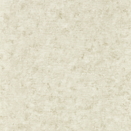 CLARKE AND CLARKE W0152/02.CAC.0 IMPRESSION NATURAL WP Wallpaper - Eade's Wallpaper