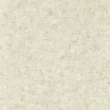 CLARKE AND CLARKE W0152/02.CAC.0 IMPRESSION NATURAL WP Wallpaper - Eade's Wallpaper