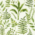 CLARKE AND CLARKE W0156/02.CAC.0 BRACKEN FOREST WP Wallpaper - Eade's Wallpaper