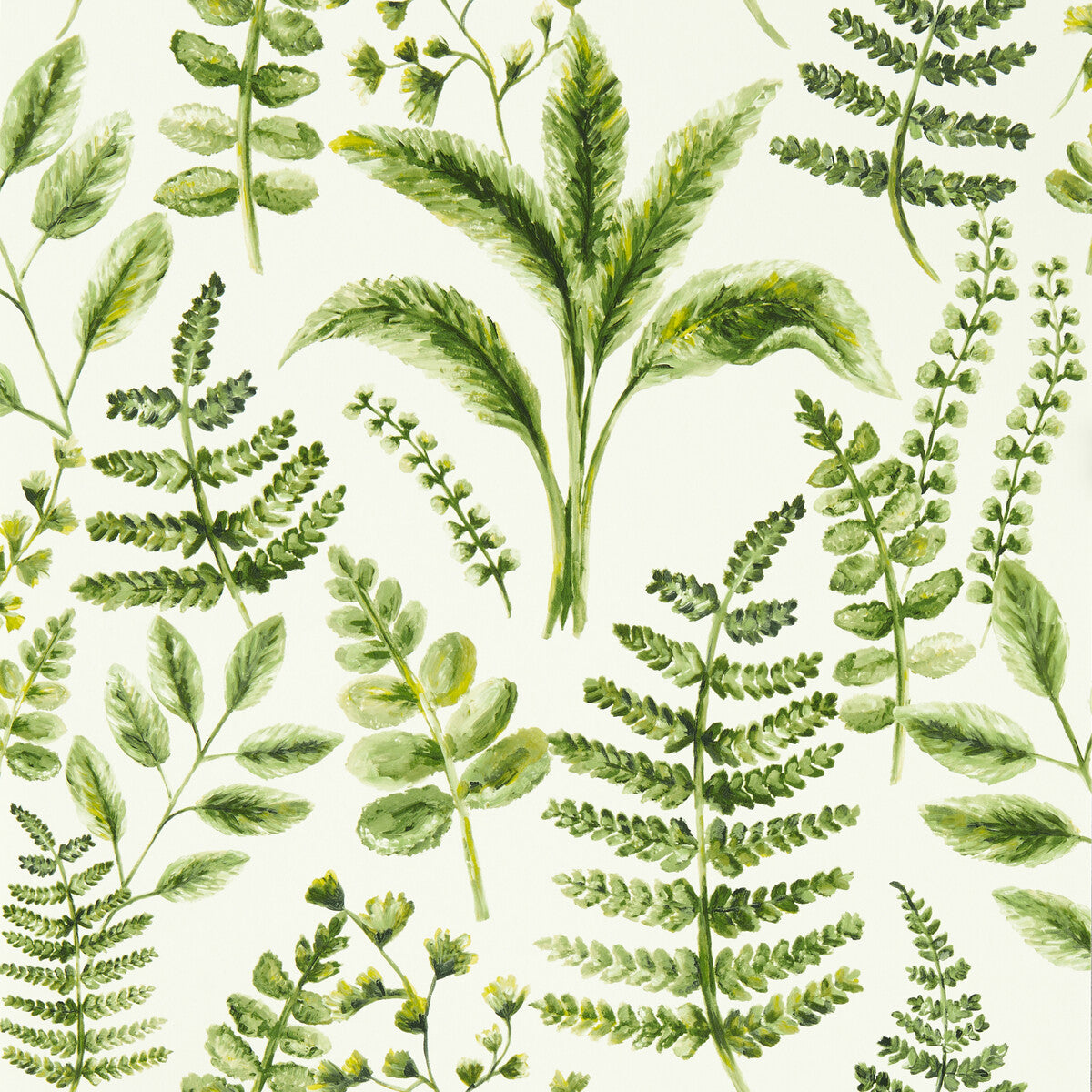 CLARKE AND CLARKE W0156/02.CAC.0 BRACKEN FOREST WP Wallpaper - Eade's Wallpaper
