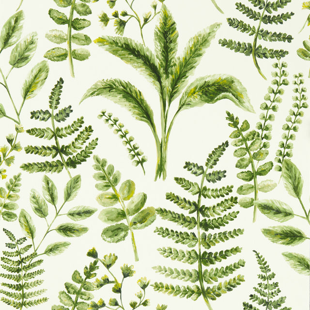 CLARKE AND CLARKE W0156/02.CAC.0 BRACKEN FOREST WP Wallpaper - Eade's Wallpaper