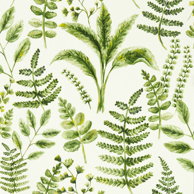 CLARKE AND CLARKE W0156/02.CAC.0 BRACKEN FOREST WP Wallpaper - Eade's Wallpaper