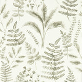 CLARKE AND CLARKE W0156/03.CAC.0 BRACKEN NATURAL WP Wallpaper - Eade's Wallpaper