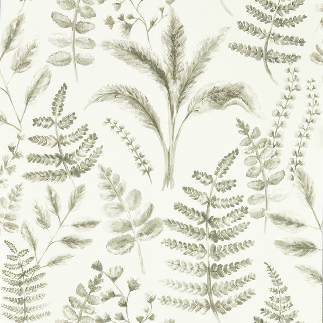CLARKE AND CLARKE W0156/03.CAC.0 BRACKEN NATURAL WP Wallpaper - Eade's Wallpaper
