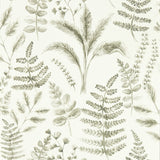 CLARKE AND CLARKE W0156/03.CAC.0 BRACKEN NATURAL WP Wallpaper - Eade's Wallpaper