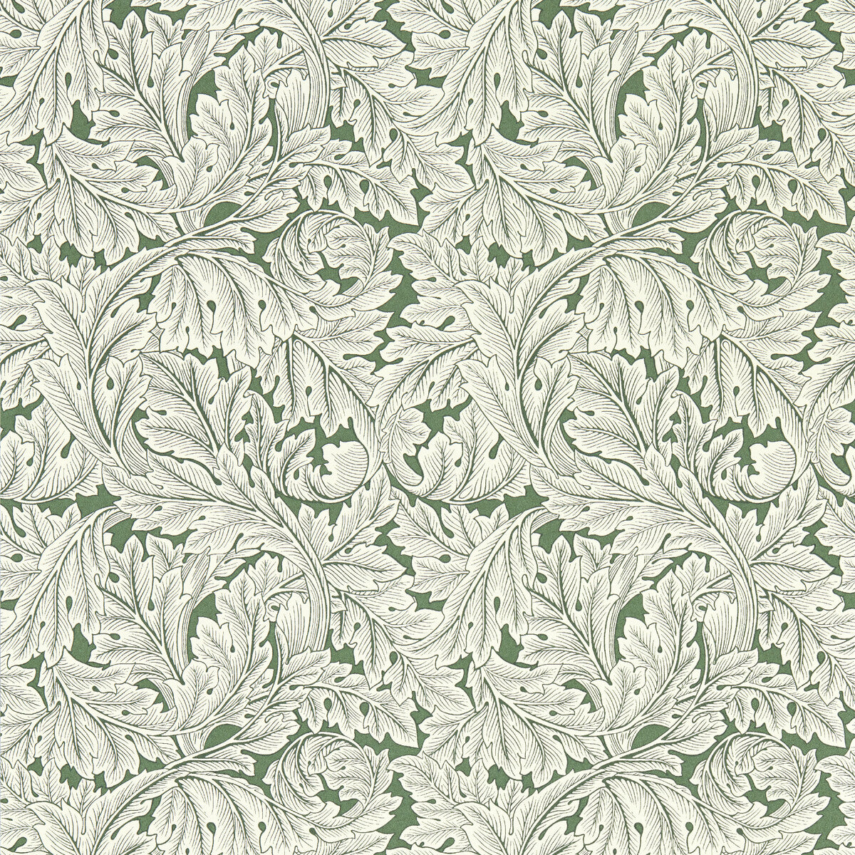 CLARKE AND CLARKE W0175/01.CAC.0 ACANTHUS SAGE WP Wallpaper - Eade's Wallpaper