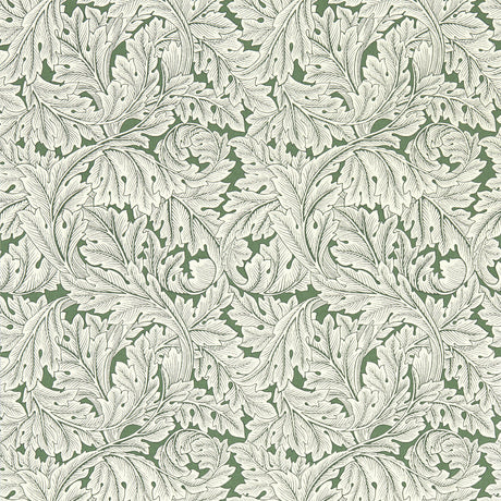 CLARKE AND CLARKE W0175/01.CAC.0 ACANTHUS SAGE WP Wallpaper - Eade's Wallpaper